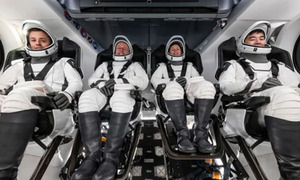Rumbo a la EEI: Crew-11 inicia ensayos para conquistar la Luna y Marte - OviedoPress