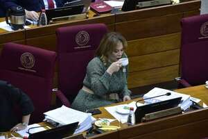 Maidana sobre “neposobrinos” de Noelia Cabrera: “A priori, los hechos son graves” - Política - ABC Color