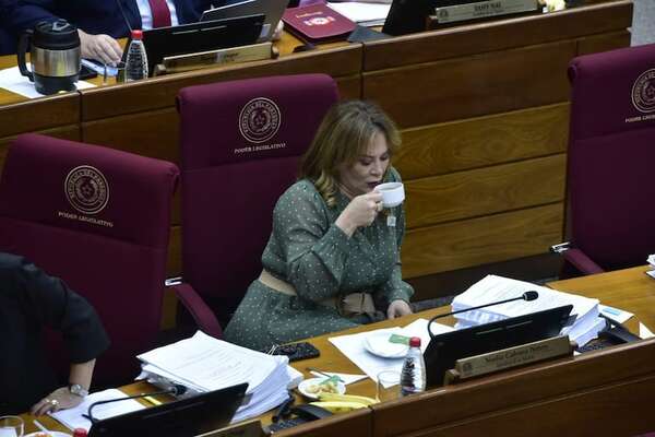 Maidana sobre “neposobrinos” de Noelia Cabrera: “A priori, los hechos son graves” - Política - ABC Color