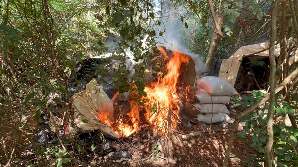Eliminan centro de producción de marihuana mecanizada en Maracaná