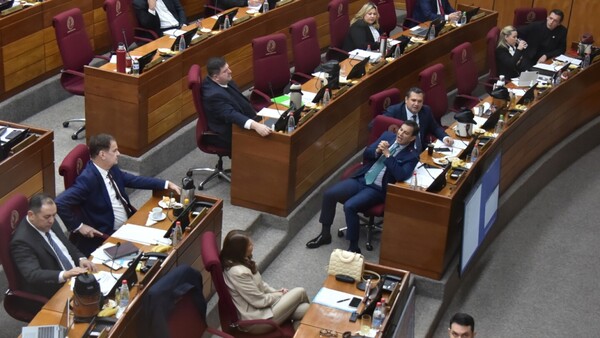 Senado crea dos nuevas comisiones, pero tiene a varias improductivas