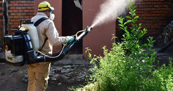 Diario HOY | Paraguay mantiene su estatus de país libre de malaria