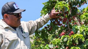 Redadas antiinmigración ponen en peligro al campo en EEUU