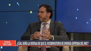 Bejarano defiende fusión ministerial para impulsar industrialización con energía - ADN Digital
