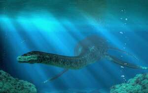 Una nueva especie de reptil marino emerge del Jurásico alemán - Ciencia - ABC Color