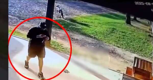 Diario HOY | Muerte del veterinario fue un crimen por encargo, informan