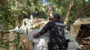 Senad presume lucha contra el narcotráfico a gran escala sin informar sobre existencia de detenidos – La Mira Digital