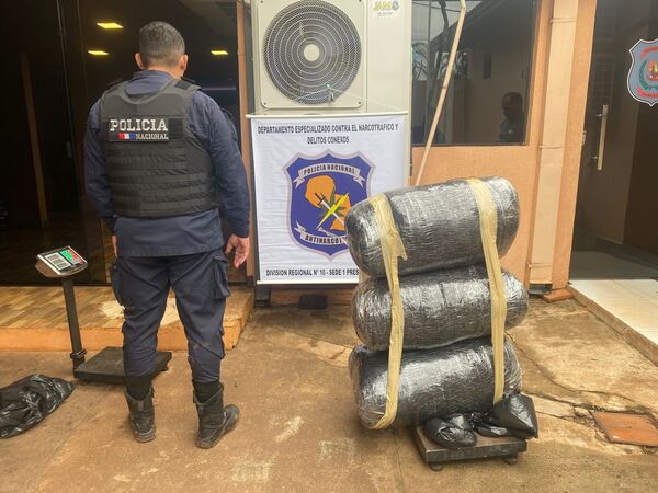 Incautan 42 kilos de marihuana tipo skunk en zona ribereña - ADN Digital