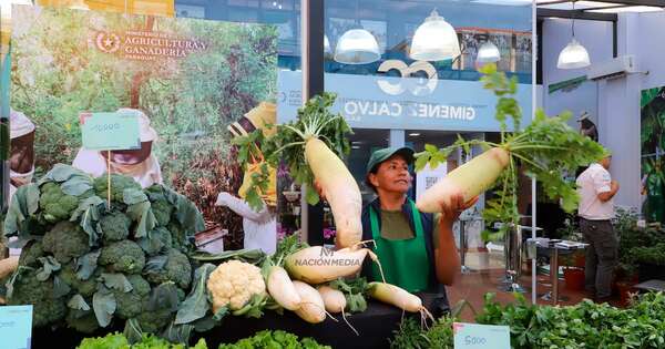 La Nación / Anuncian ferias de la agricultura familiar en Asunción y Fernando de la Mora para este martes