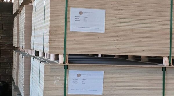 Industria nacional exporta madera contrachapada a Italia y proyecta expandirse en Europa