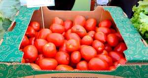 Diario HOY | Ferias de la agricultura hoy en dos ciudades