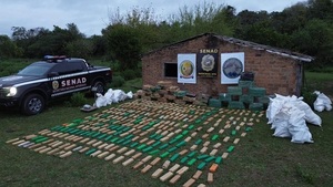 Senad incauta más de una tonelada de marihuana de depósito narco en Ñeembucú