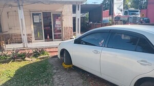 ¡El colmo! Zorros entraron a un patio ajeno y pusieron cepo a un auto