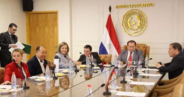 Mesa Directiva del Senado se reunirá hoy con Bachi sobre “neposobrinos” de Cabrera - Política - ABC Color