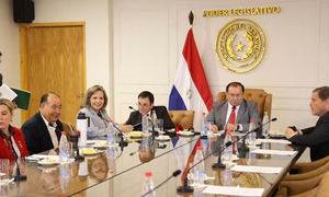 Mesa Directiva del Senado evalúa hoy pérdida de investidura de Noelia Cabrera - OviedoPress