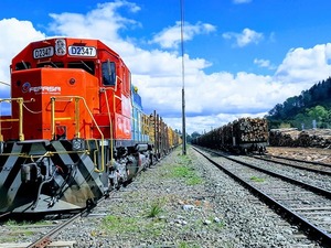 El tren como motor del desarrollo y la posibilidad de implementarlo en Paraguay