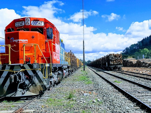 El tren como motor del desarrollo y la posibilidad de implementarlo en Paraguay