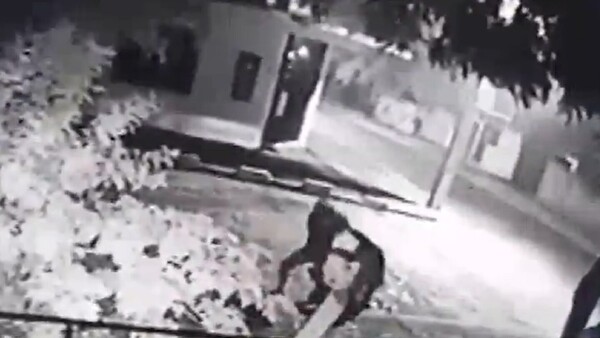 Video: Delincuente asalta a una mujer que esperaba bus para ir a trabajar
