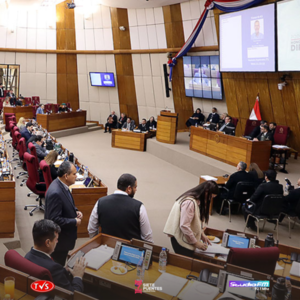 Presupuesto 2025: Proyectos para fortalecer emergencias, salud y justicia - «TVS DIGITAL»