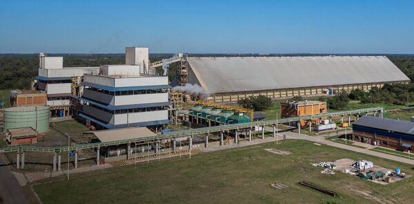 Sector aceitero paraguayo: fortaleza regional con US$ 590 millones en ingresos en primer semestre