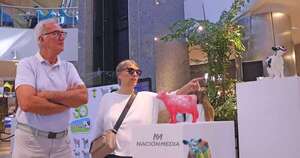 La Nación / A beneficio de hospital de niños: subasta de vaquitas pintadas por artistas será esta noche