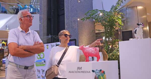 La Nación / A beneficio de hospital de niños: subasta de vaquitas pintadas por artistas será esta noche