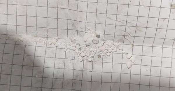 Diario HOY | Alumna fue descubierta con una porción de cocaína en su mochila