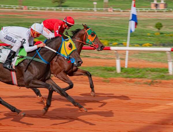 Cinco sueltas en el Jockey Club - Polideportivo - ABC Color