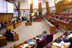 Legisladores presentan proyecto de ley para regular calidad de carne en el mercado interno