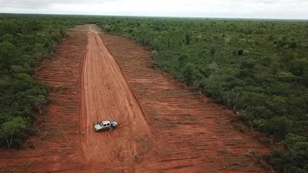 Exministro ratifica denuncia sobre presuntas actividades ilícitas en tierras del Chaco