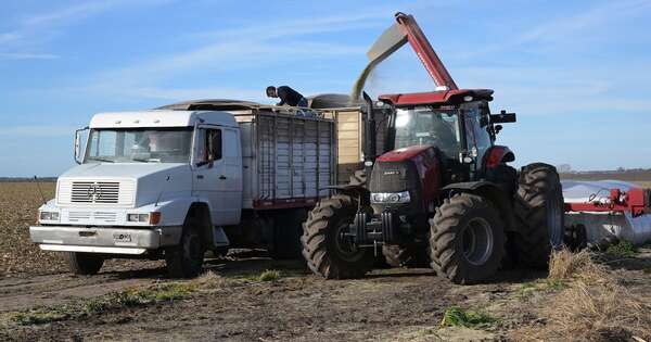 La Nación / Agricultores mantienen apoyo a Milei, pero exigen más reformas