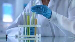 Biopiratería: cómo el saqueo de recursos genéticos impacta la ciencia y la soberanía - Ciencia - ABC Color