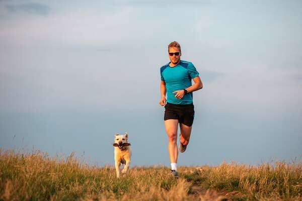 Running con perros: las mejores razas, cuidados clave y apps para entrenar juntos - Mascotas - ABC Color