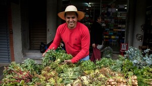 EXTRA te trae: “Yuyos y Plantas que curan”