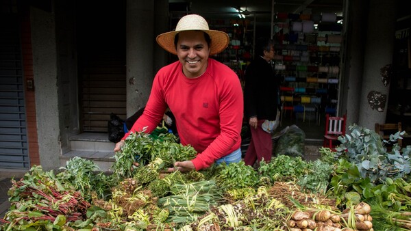 EXTRA te trae: “Yuyos y Plantas que curan”