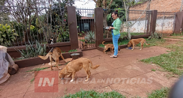 MUJER ACUSADA DE ATRAER PERROS SE DEFIENDE Y CULPA A VECINOS POR ABANDONO