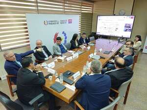 ANDE y CAF analizan crear fondo para leasing operativo - Economía - ABC Color