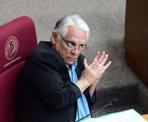 “Que estupidez no sea infinita”, pide senador Iramain a sus colegas - Política - ABC Color