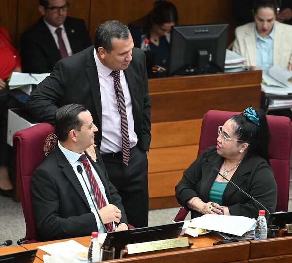 Yolanda Paredes denuncia coacción cartista a un órgano estatal y Yamy Nal se incrimina - Política - ABC Color