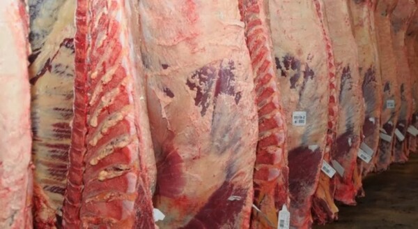 Carne paraguaya será importada a Panamá