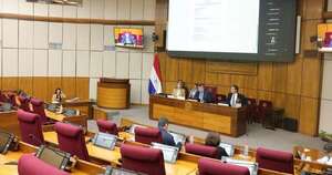 La Nación / Conatel informó a comisión del Senado sobre 290 prestadoras de internet
