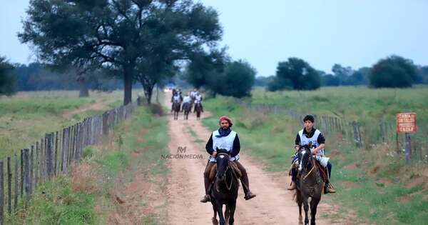Caballos evidencian resistencia en Marcha Criolla