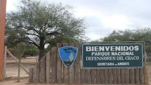 Ayoreos encuentran sin vida a guía argentino desaparecido en el Cerro León