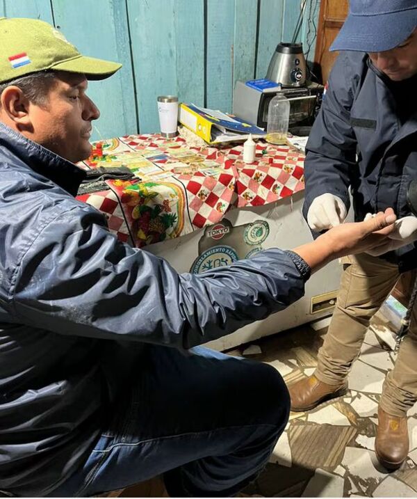 Popular / Imputan a la concubina del carnicero asesinado