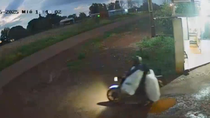 Video: Llevaba varias bolsas en moto, fue atropellado por un automóvil y sobrevivió