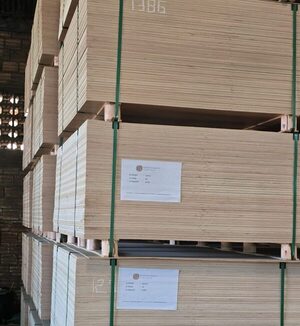 Industria forestal paraguaya inicia exportaciones a Italia y proyecta crecimiento en Europa