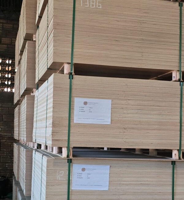 Industria forestal paraguaya inicia exportaciones a Italia y proyecta crecimiento en Europa