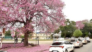 Ambiente frío a fresco, con alta humedad y vientos del sur para este viernes