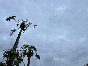 Descenso de temperaturas marcará el fin de semana en Concepción - Concepción al Día