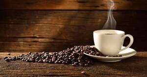 La Nación / ¿El café engaña al cerebro?: “No te da energía, solo tapa las señales de que la necesitas”